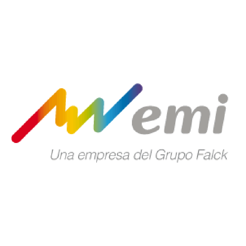 logo wemi