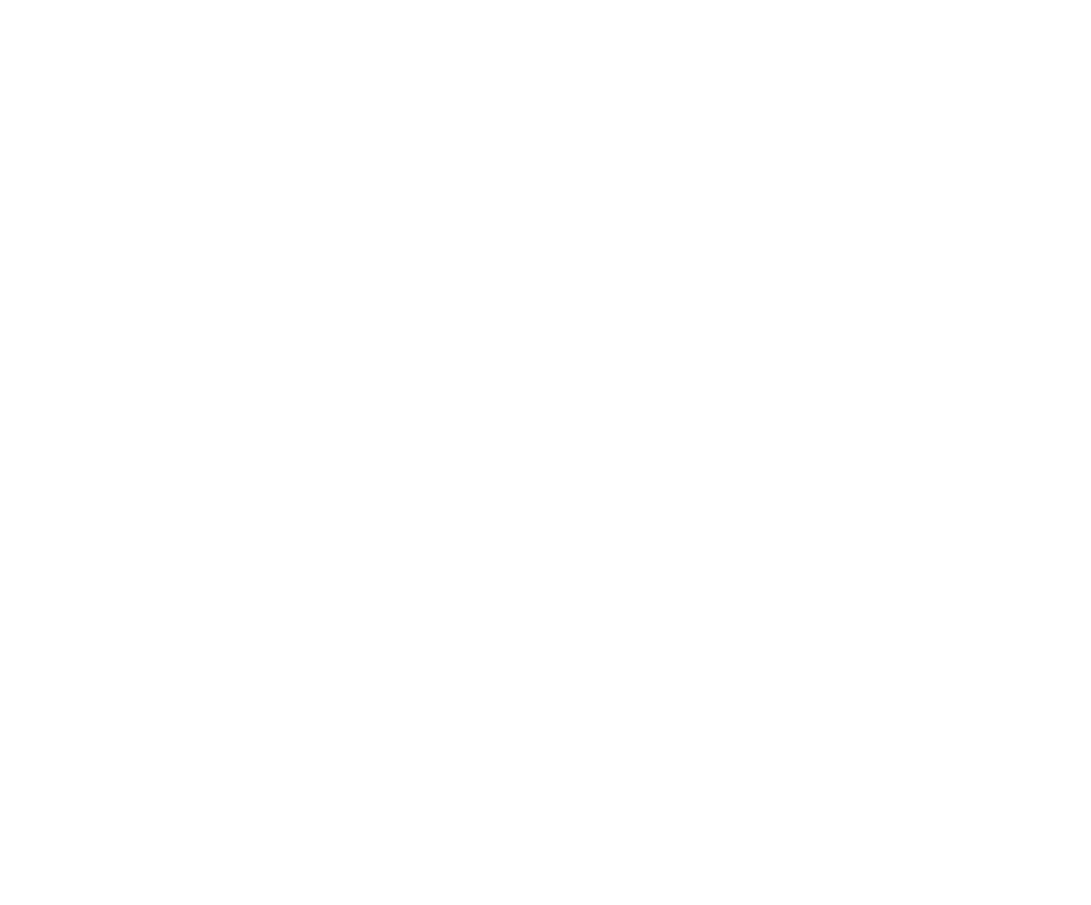 Logo Blanco anticipacion y control