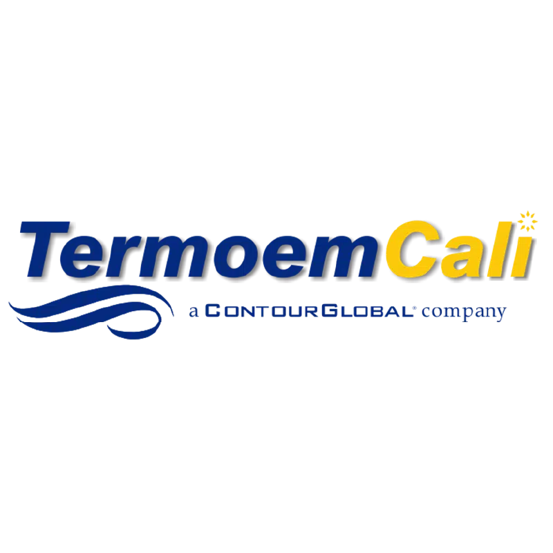 Logo Termoem