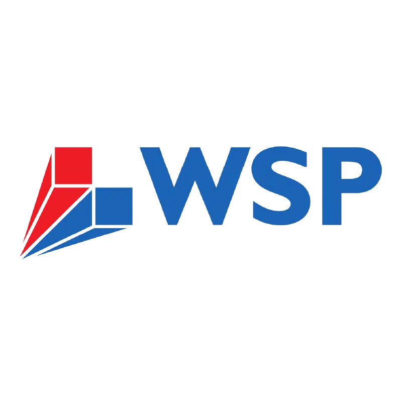 Logo De Wsp